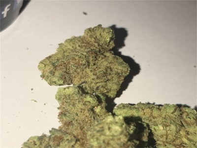 Buy Bordello Kush Marijuana Strain Online